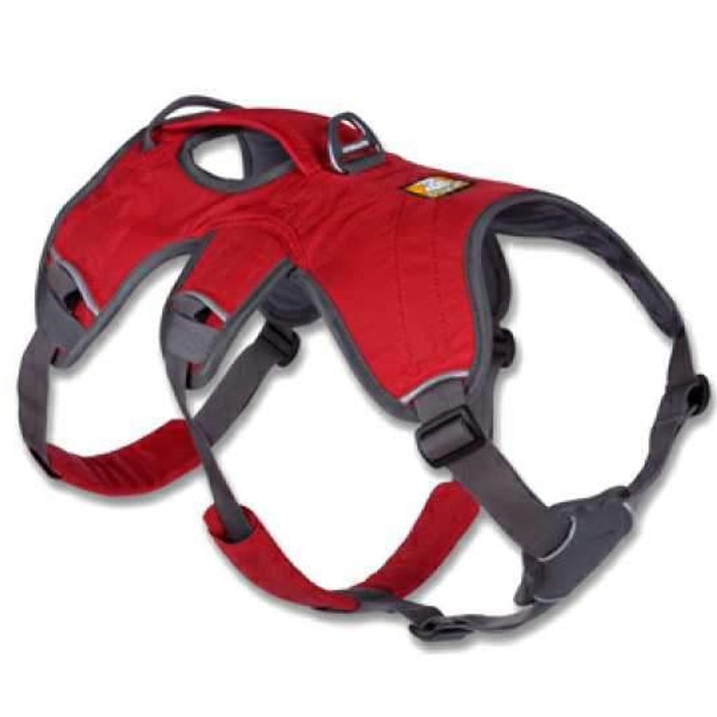 Harness Ruffwear Webmaster Shop Playpens